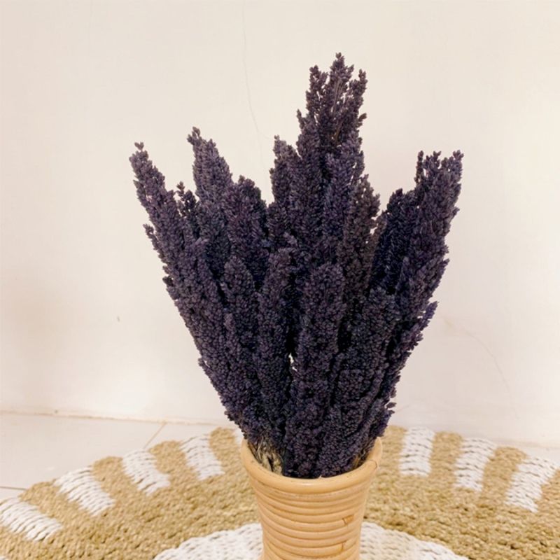 Cantal Dried Grass Flowers Display Decor 6 Bunch Black