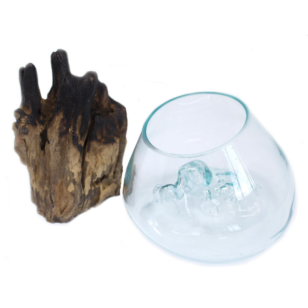 Molten Glass on Wood - Large Bowl - Ornament